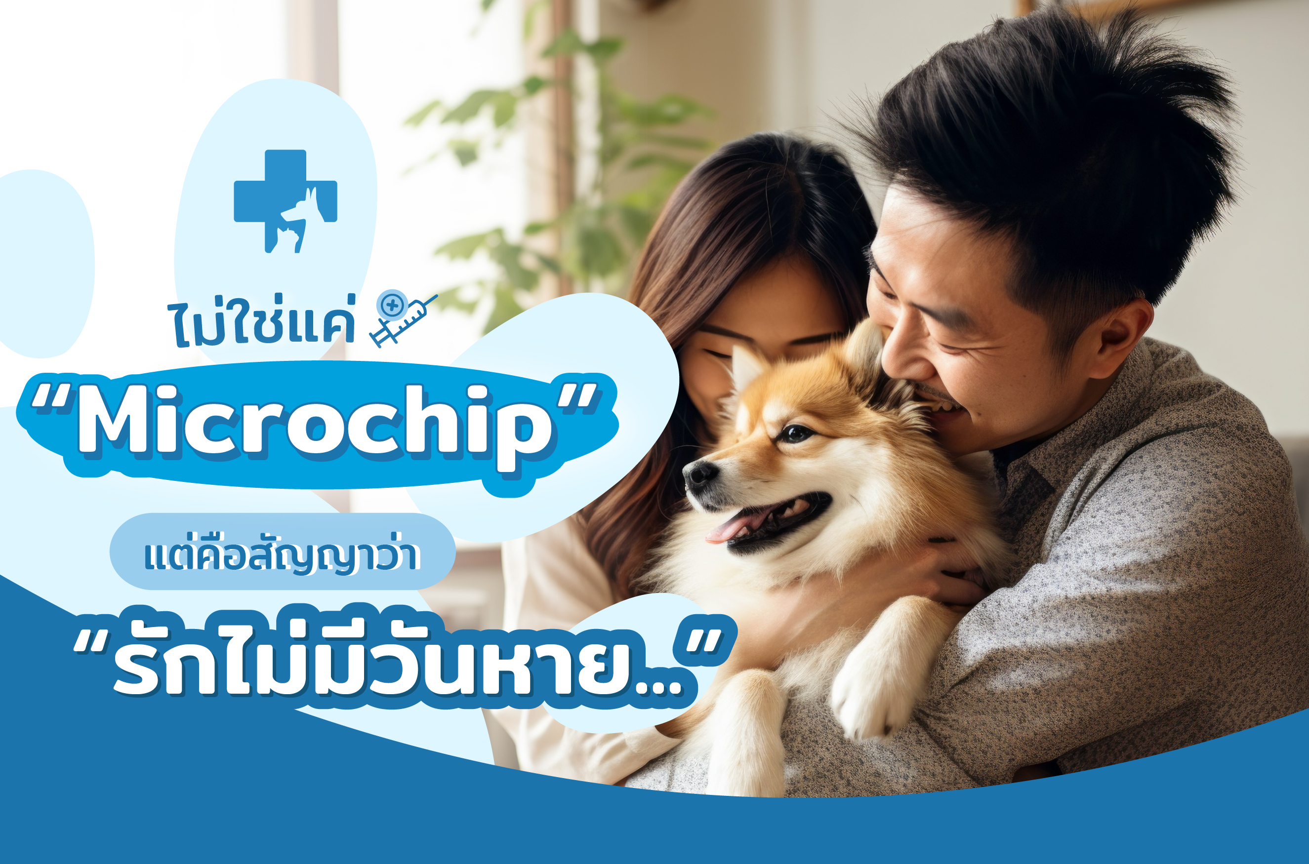 Why Microchipping Your Pet Matters: A Lifesaving Commitment