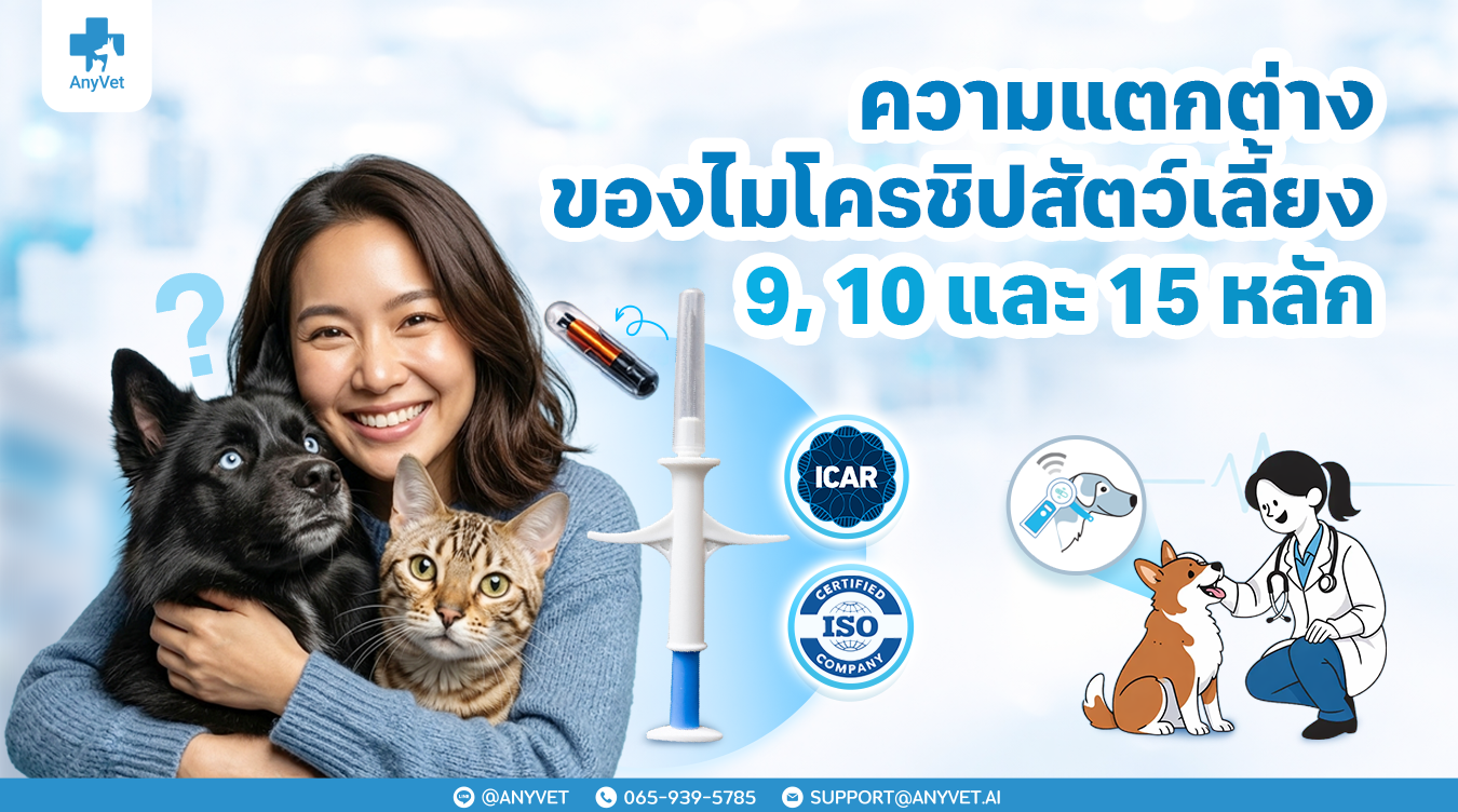 The Differences Between 9, 10, and 15-Digit Pet Microchips: International Standards Every Owner Should Know