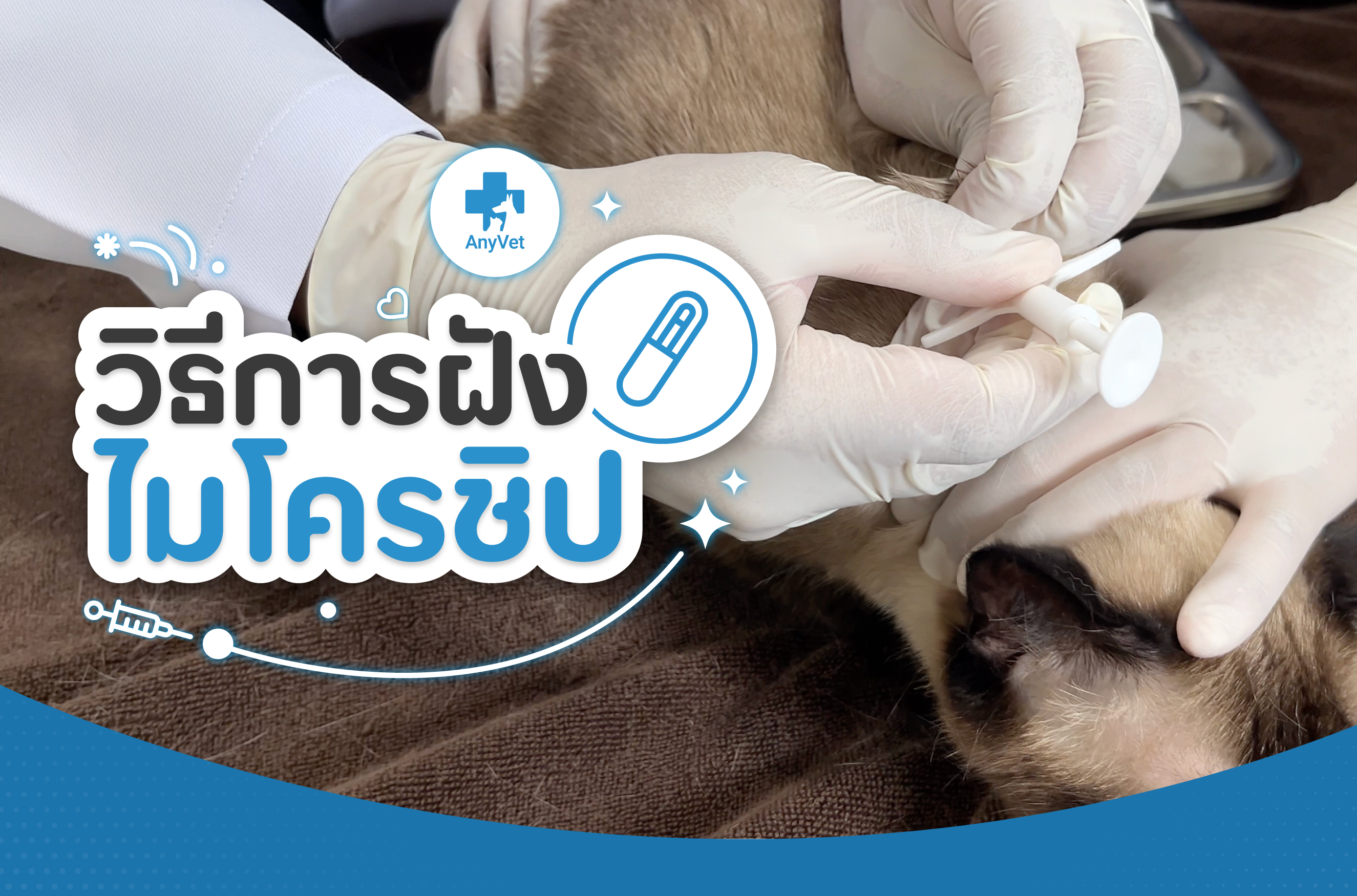 Why Microchipping Your Pet Is Now Essential in Thailand